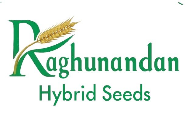 Raghunandan Hybrid Seeds